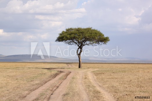 Bild på Paysage du Kenya